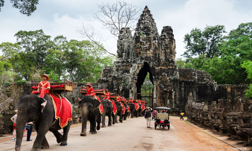 Angkor Thom Temple Elephants